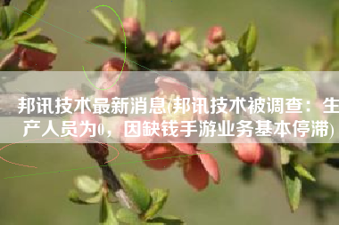邦讯技术最新消息(邦讯技术被调查：生产人员为0，因缺钱手游业务基本停滞)