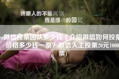 微信投票团队多少钱（介绍微信如何投票价格多少钱一票？微信人工投票20元1000票)