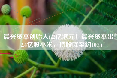 晨兴资本创始人(22亿港元！晨兴资本出售2.4亿股小米，持股降至约10%)