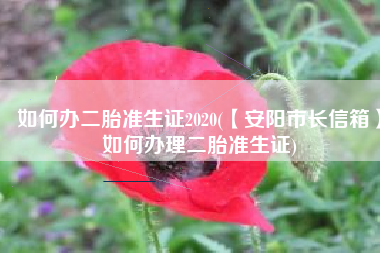 如何办二胎准生证2020(【安阳市长信箱】如何办理二胎准生证)