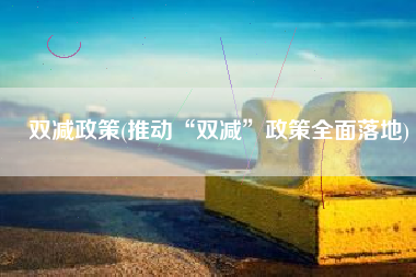 双减政策(推动“双减”政策全面落地)