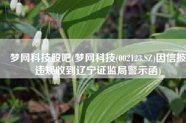 梦网科技股吧(梦网科技(002123.SZ)因信披违规收到辽宁证监局警示函)