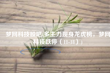 梦网科技股吧(多主力现身龙虎榜，梦网科技跌停（11-18）)