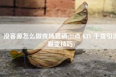 没客源怎么做夜场营销(22点 KTV 干货引流裂变技巧)
