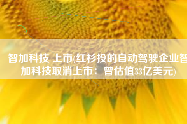 智加科技 上市(红杉投的自动驾驶企业智加科技取消上市：曾估值33亿美元)