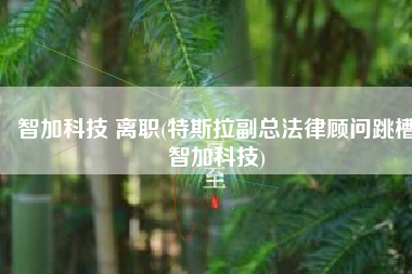 智加科技 离职(特斯拉副总法律顾问跳槽智加科技)