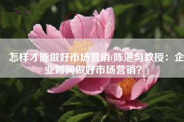 怎样才能做好市场营销(陈湛匀教授：企业如何做好市场营销？)