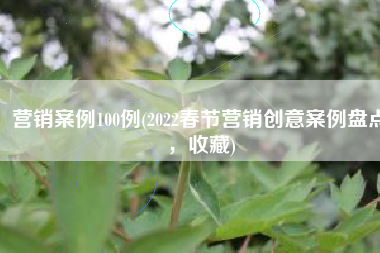 营销案例100例(2022春节营销创意案例盘点，收藏)