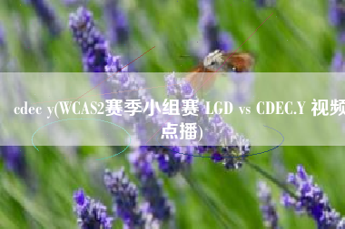 cdec y(WCAS2赛季小组赛 LGD vs CDEC.Y 视频点播)