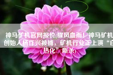 神马矿机官网报价(腥风血雨！神马矿机创始人杨作兴被捕，矿机行业正上演“白热化”厮杀)