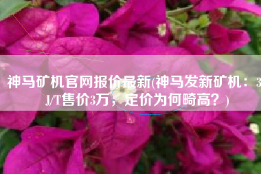 神马矿机官网报价最新(神马发新矿机：31J/T售价3万，定价为何畸高？)