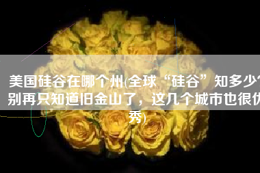 美国硅谷在哪个州(全球“硅谷”知多少？别再只知道旧金山了，这几个城市也很优秀)