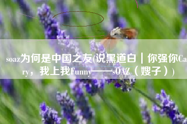 soaz为何是中国之友(说黑道白｜你强你Carry，我上我Funny——sOAZ（嫂子）)