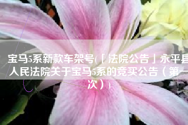 宝马5系新款车架号(「法院公告」永平县人民法院关于宝马5系的竞买公告（第一次）)
