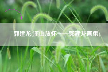 郭建龙(溪山放怀——郭建龙画集)