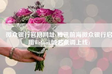 微众银行官网网址(腾讯前海微众银行启用Webank域名低调上线)
