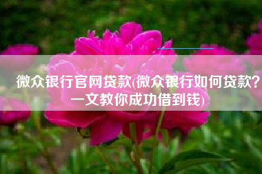 微众银行官网贷款(微众银行如何贷款？一文教你成功借到钱)