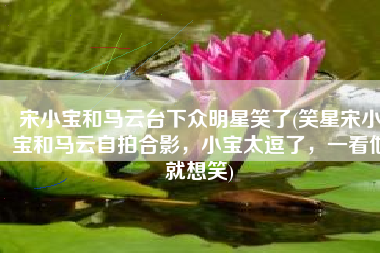 宋小宝和马云台下众明星笑了(笑星宋小宝和马云自拍合影，小宝太逗了，一看他就想笑)