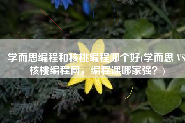 学而思编程和核桃编程哪个好(学而思 VS 核桃编程网，编程课哪家强？)