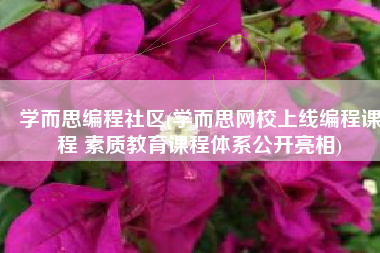 学而思编程社区(学而思网校上线编程课程 素质教育课程体系公开亮相)