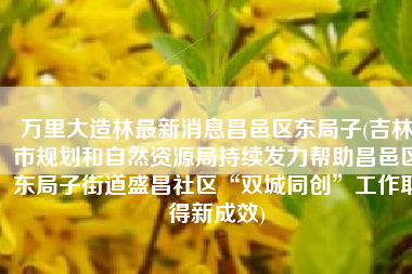 万里大造林最新消息昌邑区东局子(吉林市规划和自然资源局持续发力帮助昌邑区东局子街道盛昌社区“双城同创”工作取得新成效)