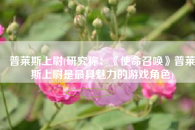 普莱斯上尉(研究称：《使命召唤》普莱斯上尉是最具魅力的游戏角色)