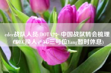 cdec战队人员(DOTA2：中国战队转会梳理，CDEC换人，VG三号位Yang暂时休息)