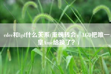 cdec和lgd什么关系(重磅转会，LGD把唯一A皇Ame给换了？)