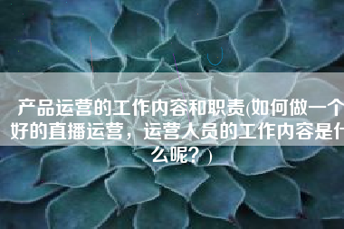 产品运营的工作内容和职责(如何做一个好的直播运营，运营人员的工作内容是什么呢？)