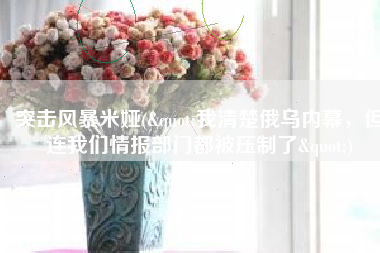 突击风暴米娅("我清楚俄乌内幕，但连我们情报部门都被压制了")
