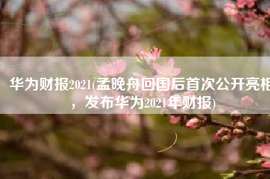 华为财报2021(孟晚舟回国后首次公开亮相，发布华为2021年财报)