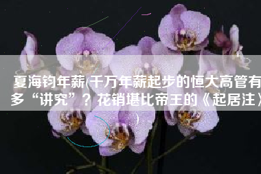 夏海钧年薪(千万年薪起步的恒大高管有多“讲究”？花销堪比帝王的《起居注》)