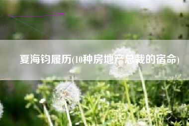 夏海钧履历(10种房地产总裁的宿命)