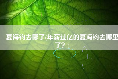 夏海钧去哪了(年薪过亿的夏海钧去哪里了？)