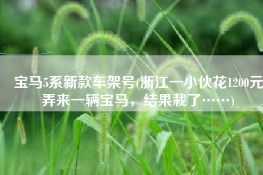 宝马5系新款车架号(浙江一小伙花1200元弄来一辆宝马，结果栽了……)