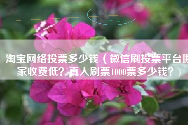 淘宝网络投票多少钱(微信刷投票平台哪家收费低?真人刷票1000票多少钱?)