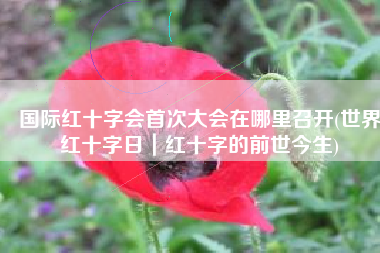 国际红十字会首次大会在哪里召开(世界红十字日｜红十字的前世今生)