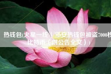 热钱包(火星一线 | 币安热钱包被盗7000枚比特币（附公告全文）)