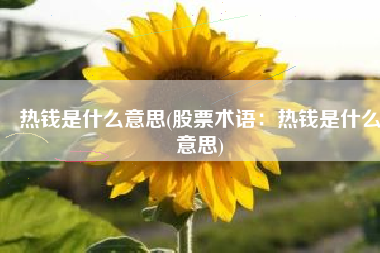 热钱是什么意思(股票术语：热钱是什么意思)