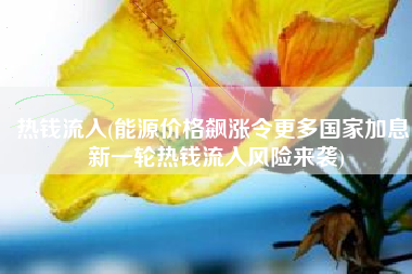 热钱流入(能源价格飙涨令更多国家加息，新一轮热钱流入风险来袭)