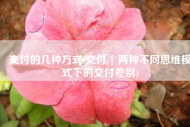 交付的几种方式(交付 | 两种不同思维模式下的交付差别)