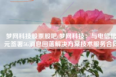 梦网科技股票股吧(梦网科技：与电信信元签署5G消息回落解决方案技术服务合同)