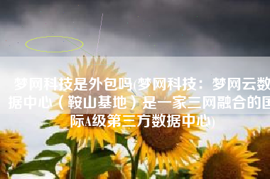 梦网科技是外包吗(梦网科技：梦网云数据中心（鞍山基地）是一家三网融合的国际A级第三方数据中心)