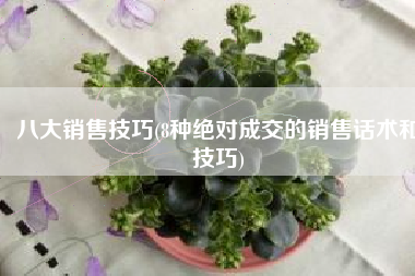 八大销售技巧(8种绝对成交的销售话术和技巧)