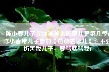 陈小春儿子参加爸爸去哪里儿是第几季(陈小春带儿子参加《爸爸去哪儿》：不要伤害我儿子，要骂就骂我)