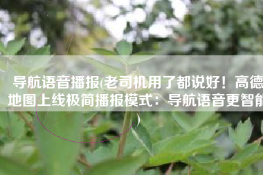 导航语音播报(老司机用了都说好！高德地图上线极简播报模式：导航语音更智能)