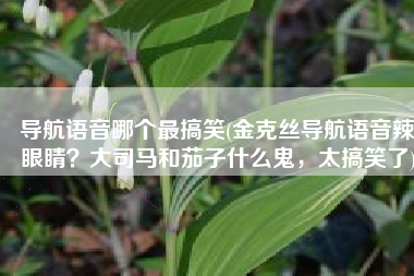 导航语音哪个最搞笑(金克丝导航语音辣眼睛？大司马和茄子什么鬼，太搞笑了)