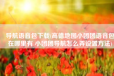 导航语音包下载(高德地图小团团语音包在哪里有 小团团导航怎么弄设置方法)
