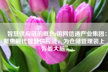 智慧供应链的概念(国网信通产业集团：聚焦现代智慧供应链，为仓储管理装上“智能大脑”)