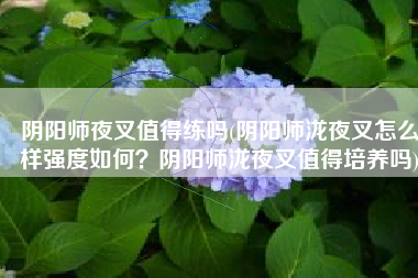 阴阳师夜叉值得练吗(阴阳师泷夜叉怎么样强度如何？阴阳师泷夜叉值得培养吗)